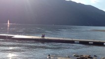 PANORAMA DU LAC DU BOURGET DEPUIS L ESPLANADE DU LAC