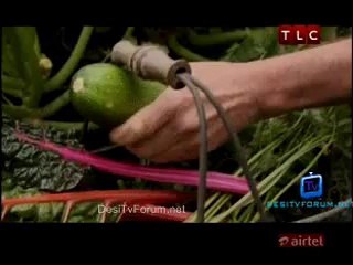 Nigel Slater's Simple Cooking 21st May 2014 Video Watch Online