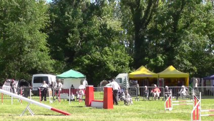 Chiyo Sélectif Trophéé Cibiens M1