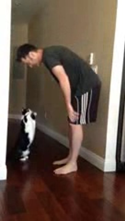 Best Kitty Hug Ever!