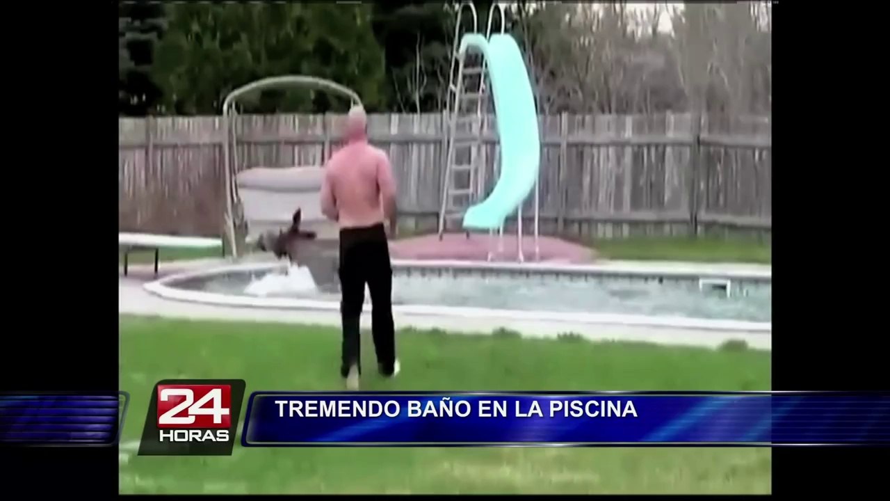 Loro se hace famoso en Internet por mandar saludos a sus seguidores