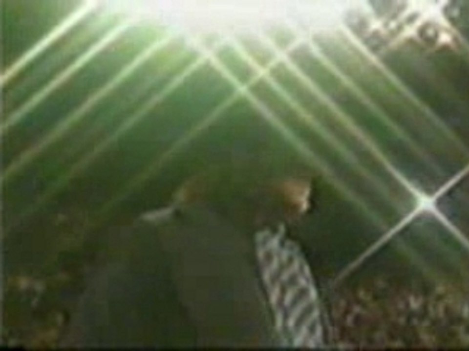 The Undertaker's 1st Entrance