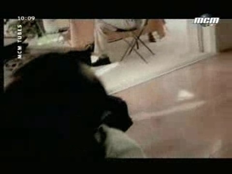 IAM - Nés sous la même étoile