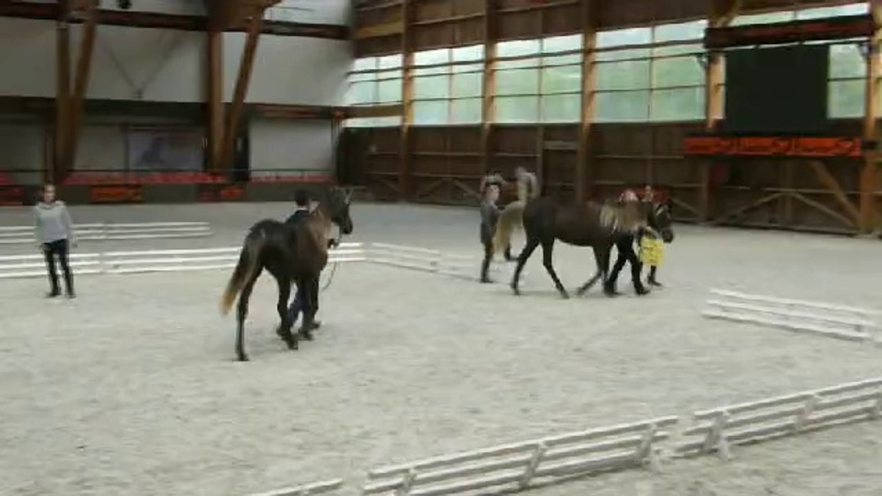 Ameerah et Shaïmah en show