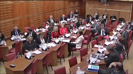 Audition de M. Eric Debarbieux, prévention et lutte contre la violence à l'école - Mercredi 10 Octobre 2012