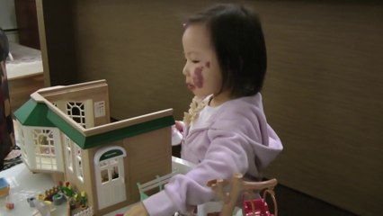 Sylvanian Families And Hello Kitty