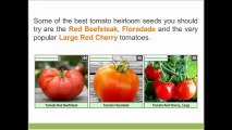 Heirloom Seeds - The 5 Best Vegetables to Grow 1