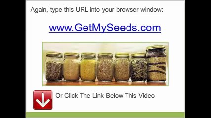 Heirloom Seeds - The 5 Best Vegetables to Grow 2