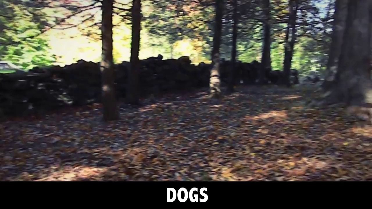 View our happy customers, and turn up your speakers!