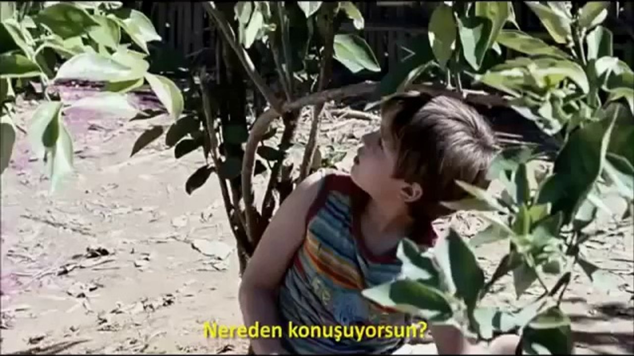 Şeker Portakalı / Meu Pé de Laranja Lima - Türkçe Altyazılı Fragman