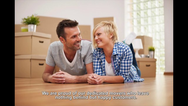 Man with Van Holland Park