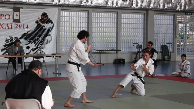 Coupe de France de Shorinji Kempo 2014