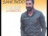 şahe Bedo Se Gul 2014