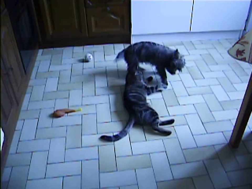 Babylone et Jaudy