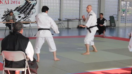 Coupe de France de Shorinji Kempo 2014