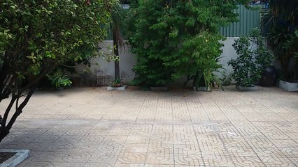 cho thuê biệt thự đường cao thắng quận 3 call 0977771919