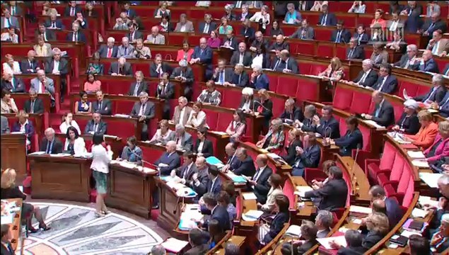 Seybah Dagoma - QAG - Partenariat transatlantique de commerce et d'investissement (TTIP) - 20 mai 2014