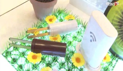 01Live Hebdo #15 : les nouveautés de la rentrée en avant-première !