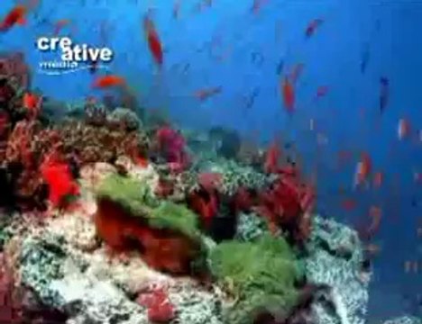 aa tu yasu day dar tay cheeti aa ja by bareen inayat