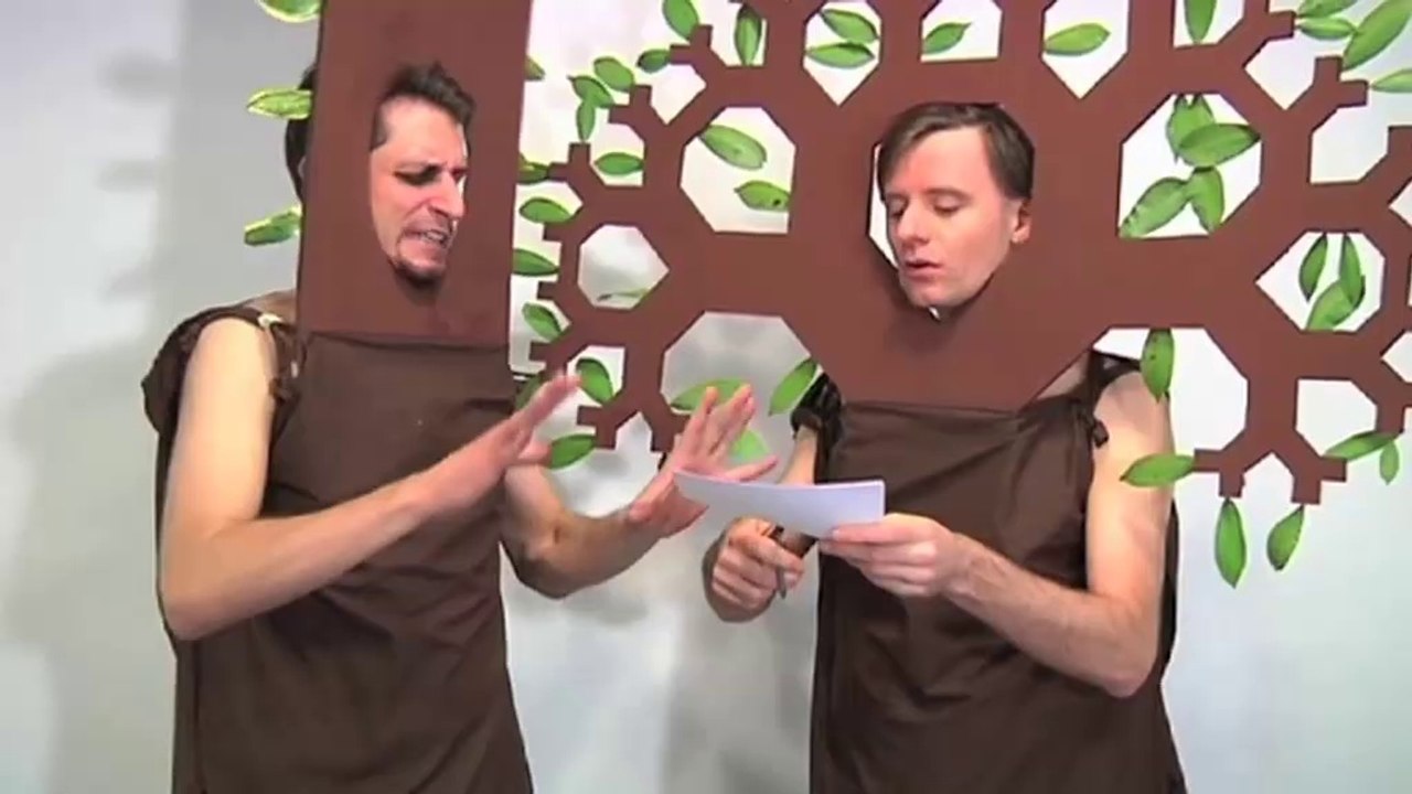 Mathe zum Anfassen_Fraktale