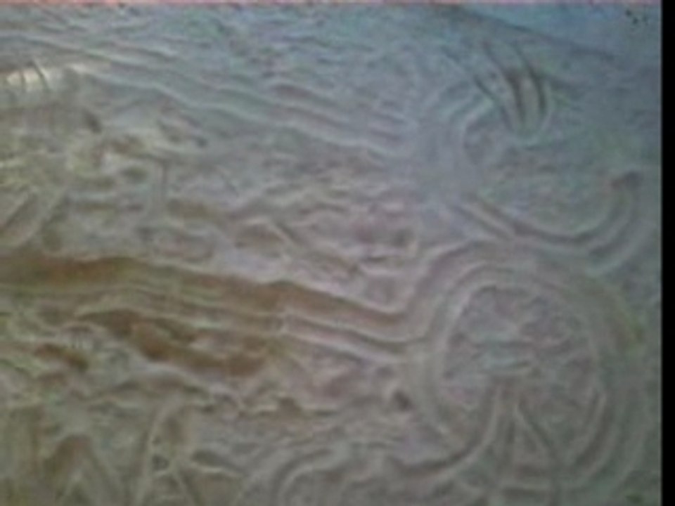 Le chef-d'oeuvre a Daminou