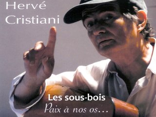 Hervé CRISTIANI - Les sous-bois