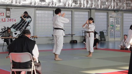 Coupe de France de Shorinji Kempo 2014