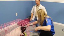 Welcome to Hammond Veterinary Services where we are dedicated to providing your pets with the highest quality care available.