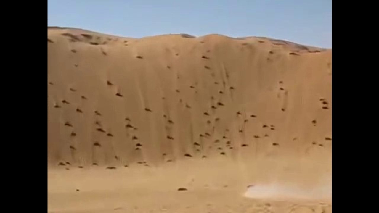 You Would Not Believe This!