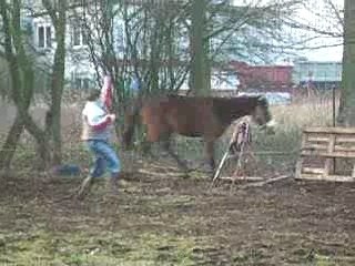 Saut en liberté