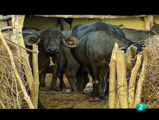 Aislados, una historia de supervivencia 5 Islas de tierra adentro