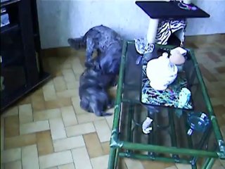 Chanel et Jaudy jouent