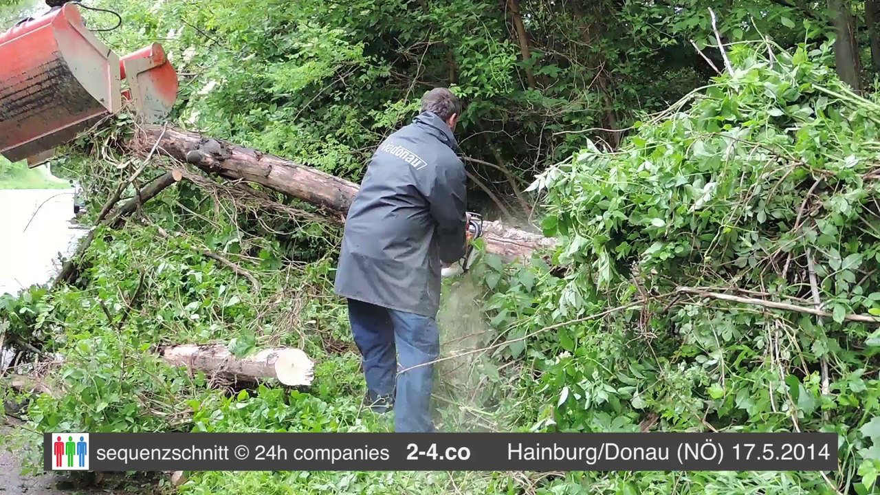 Hochwassereinsatz VIA Donau - Baum stürzte auf Telefonleitung (HD)