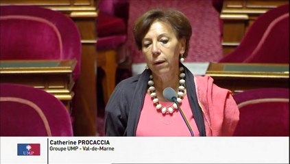 Permis de conduire international : "Une simplification des modalités de renouvellement s'impose"