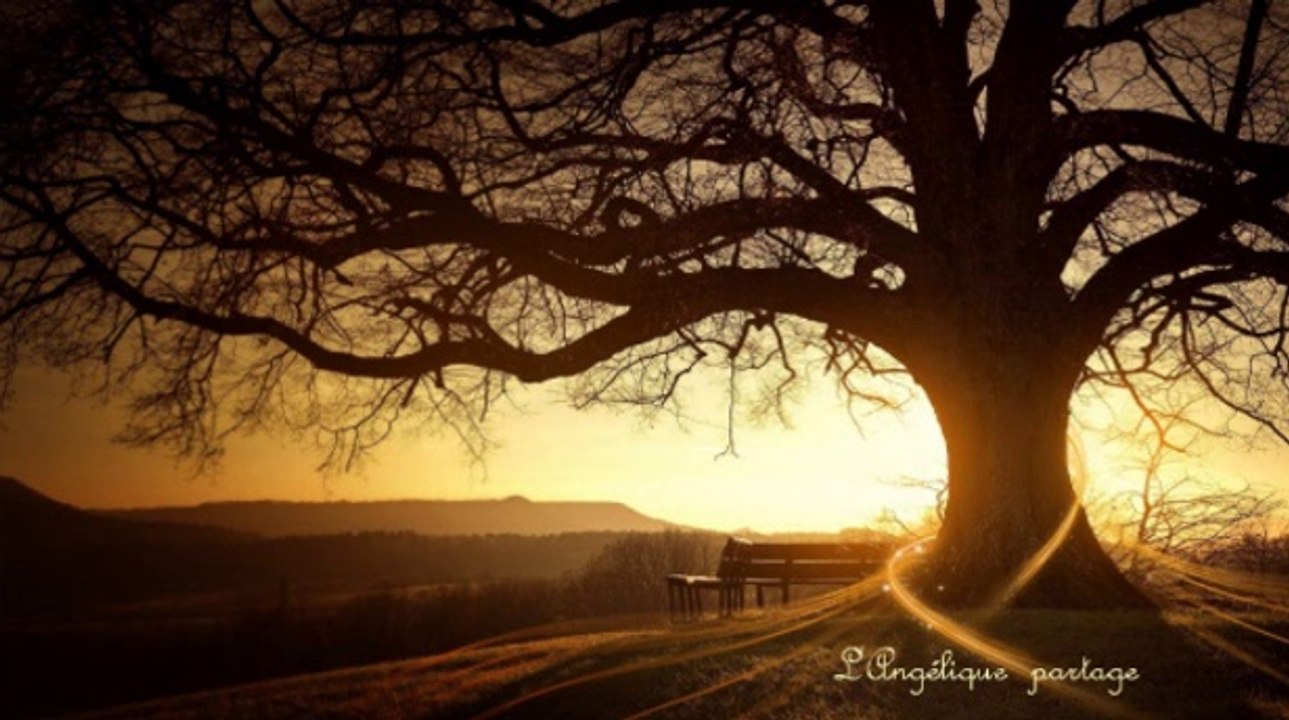 Sagesse des Anciens - 2