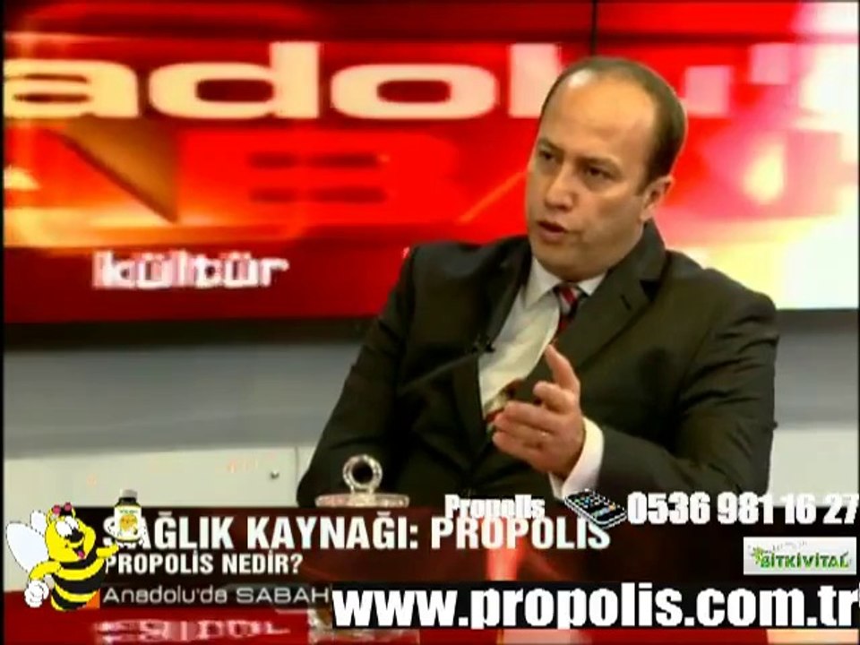 Propolis Türkiye