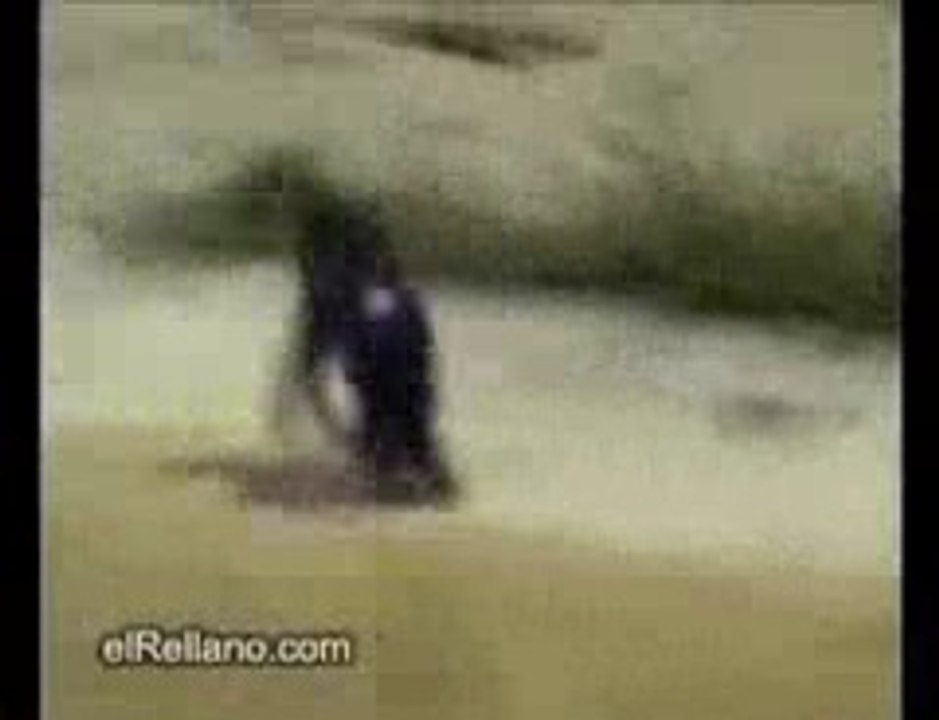 this is a upload testing...