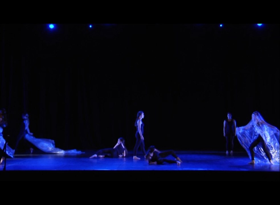 Lycée Savignac - Villefranche de Rouergue - Championnat de France UNSS de danse - Nancy 2014