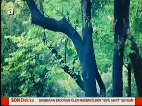 A HABER SOMA'DA CANLI YAYIN PROGRAMI (18 MAYIS 2014)