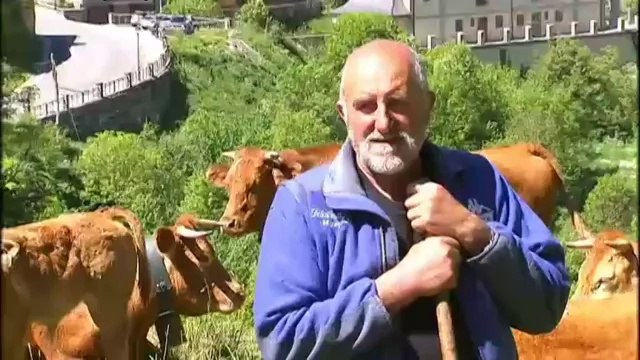 TV3 - Telenotícies comarques - Una wikipèdia de micropobles