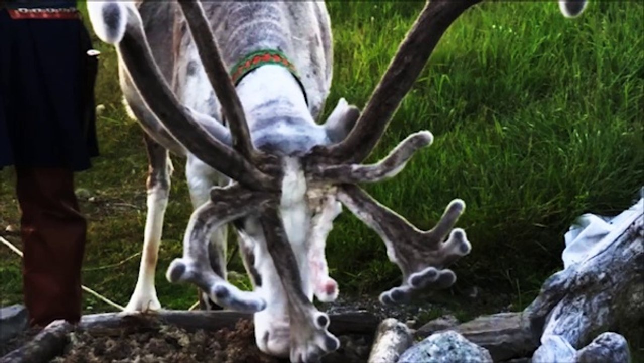 Kreuzfahrt zum Nordkap-Teil 2