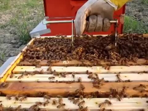 Çerçeve Tutma Aparatı