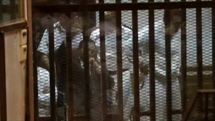 Hosni Moubarak condamné à 3 ans de prison