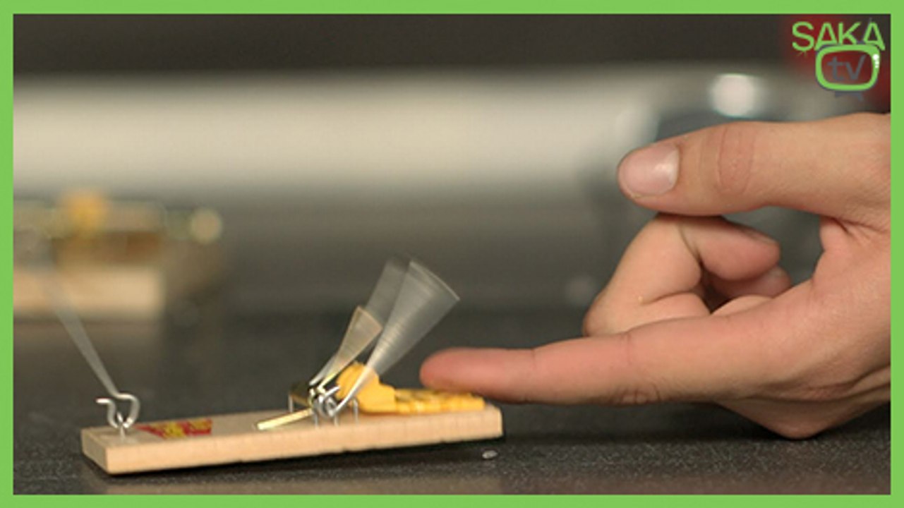 Ağır Çekimde Fare Kapanına Elini Sıkıştırmak