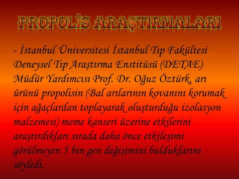 PROPOLİS NEDİR? PROPOLİSİN FAYDALARI NELERDİR_