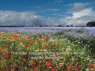 Poem - Shikwah by Allama Iqbal - 2 ( Subtitle)