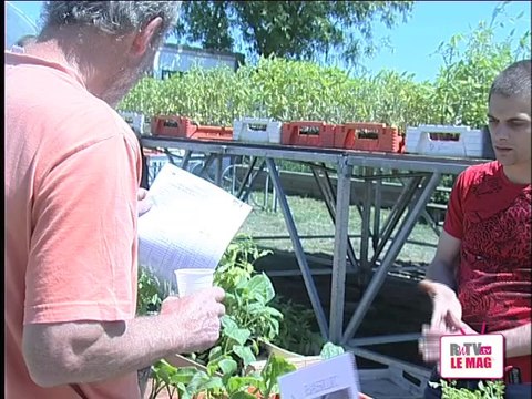 les jardins de cocagne 2014