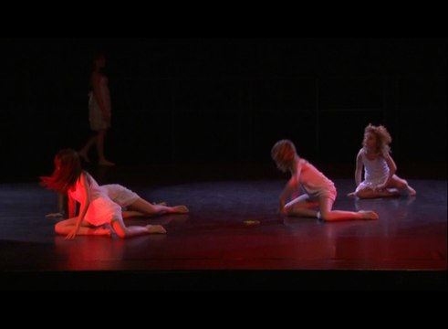 Collège La Vallée Verte - Vauvert - Championnat de France UNSS de danse - Nancy 2014