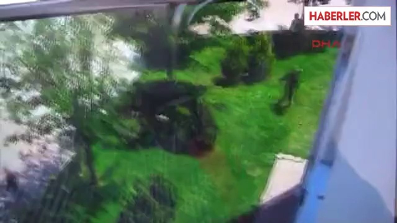 Kırklareli Üniversitesinde Kavgası 2 Yaralı Ek