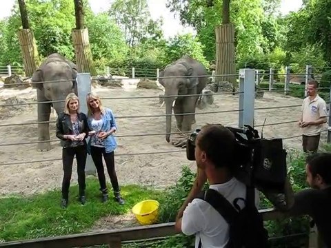 Les Animaux de la 8, tournage de l'émission télé au zoo de Maubeuge